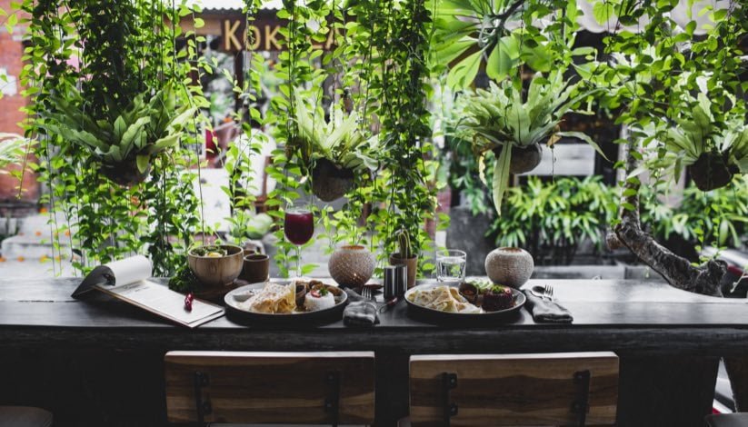 pexels roman odintsov 4551517