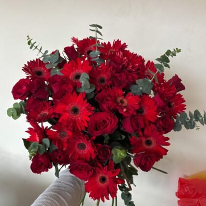 Red Posy