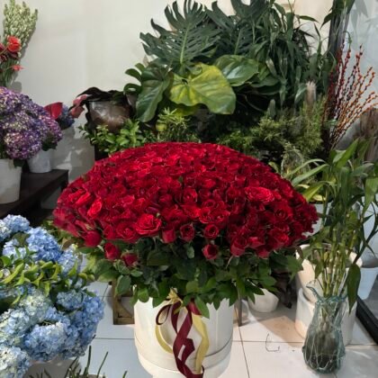 351 Red Roses in a Box