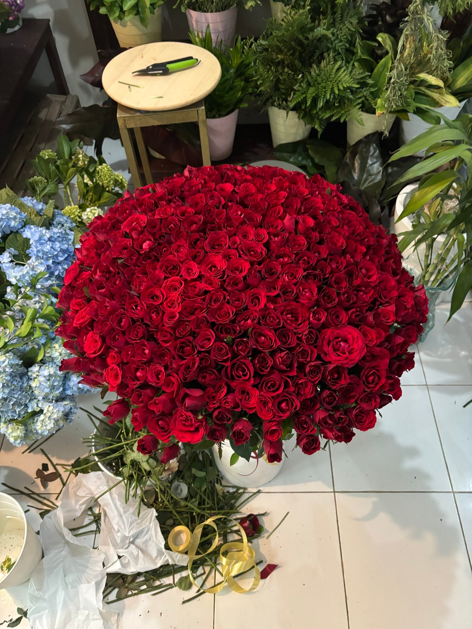 351 Red Roses in a Box 2 351 Red Roses in a Box - Image 2