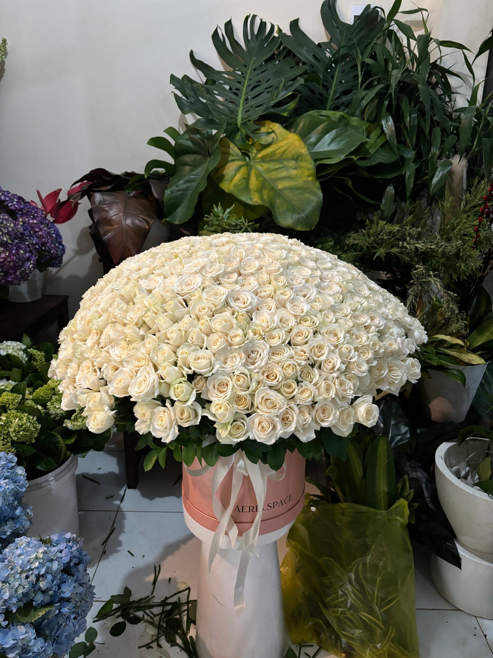 501 Avalanche Roses in a Box 2 501 Avalanche Roses in a Box - Image 2