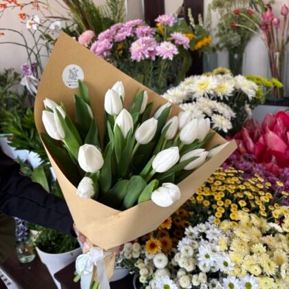 Classic White Tulips