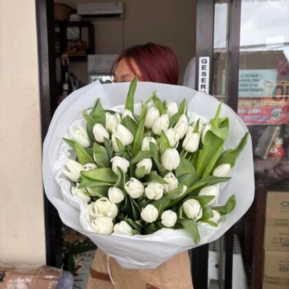 35 White Tulips