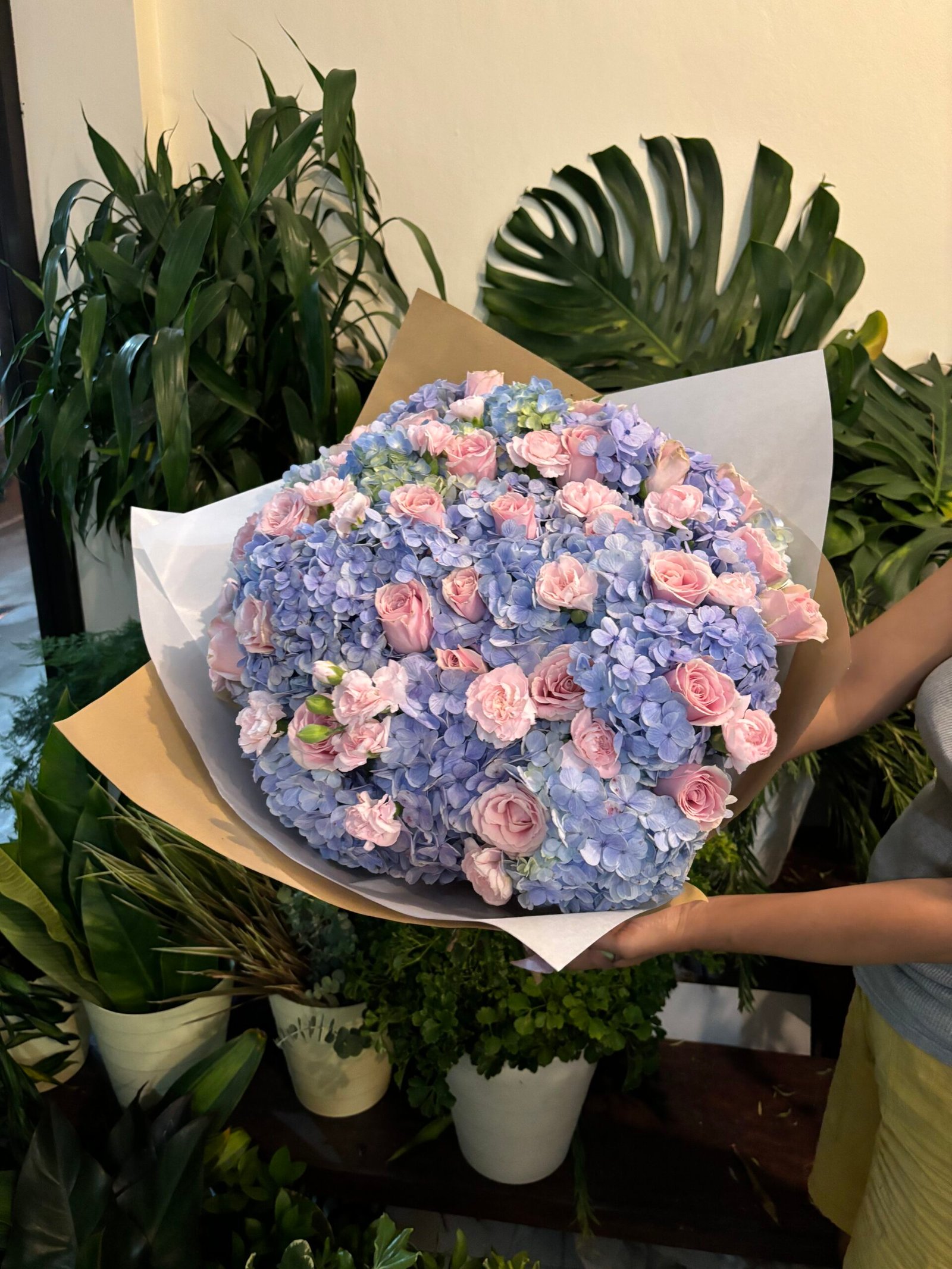 Pink Azura 1 Pink Azura