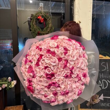 201 Sweet Candy Roses