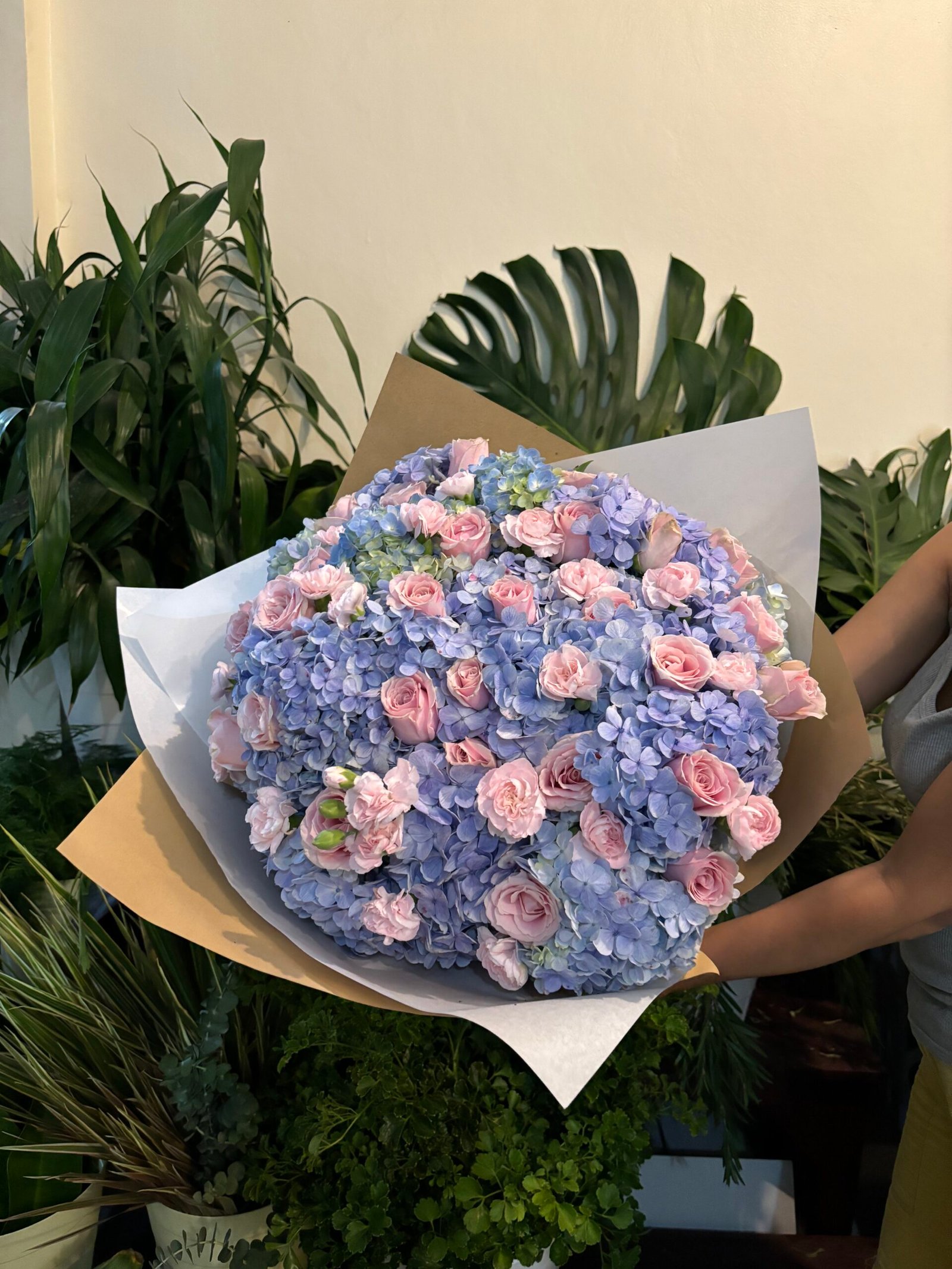 Pink Azura 2 Pink Azura - Image 2