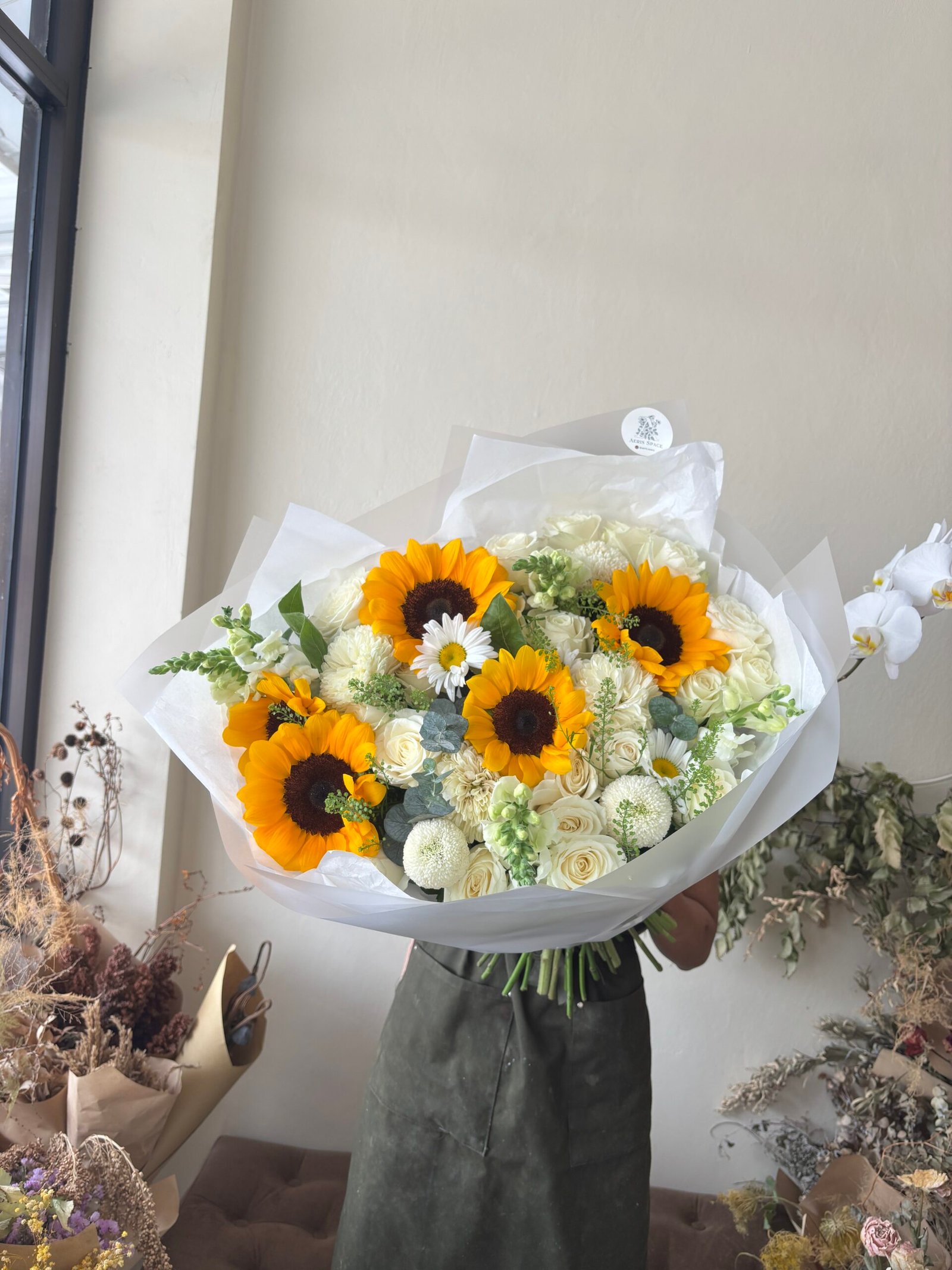 Himawari Lush 1 Himawari Lush