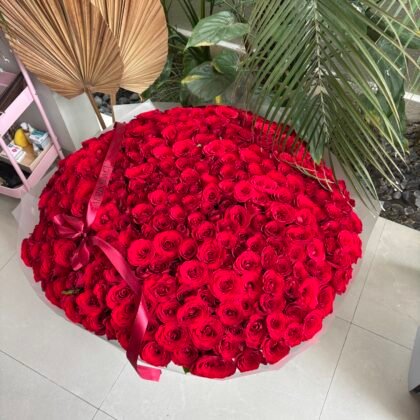 301 Red Roses in a Box