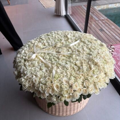 501 White Roses in a Basket